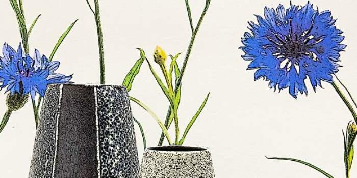 Führung: „Blumen und Vasen“