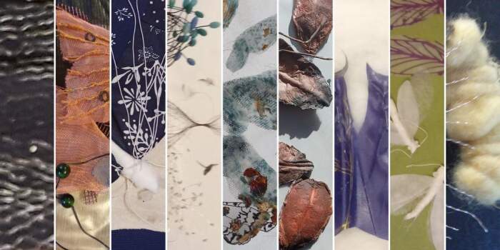 Führung: „Textilinsekten: Metamorphosen einer Ausstellung“