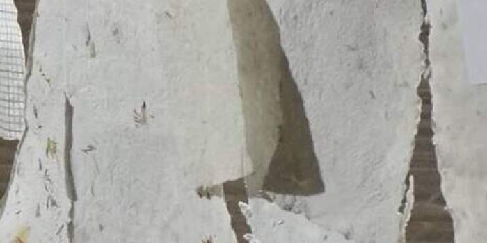 Rund ums Papier! mit Helene Dagmar Sommer