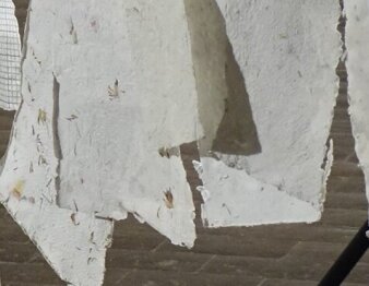 Foto: Rund ums Papier © Stadtverwaltung Erfurt/ Dirk Urban Geschöpftes Papier mit Klammern auf einer Leine