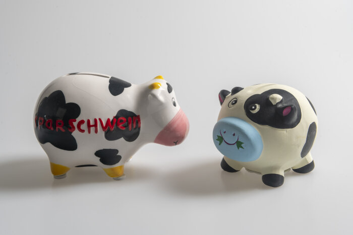 Sparschweine aus Keramik Sparschweine aus Keramik
