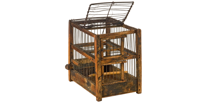 Interner Verweis: Fangkäfig